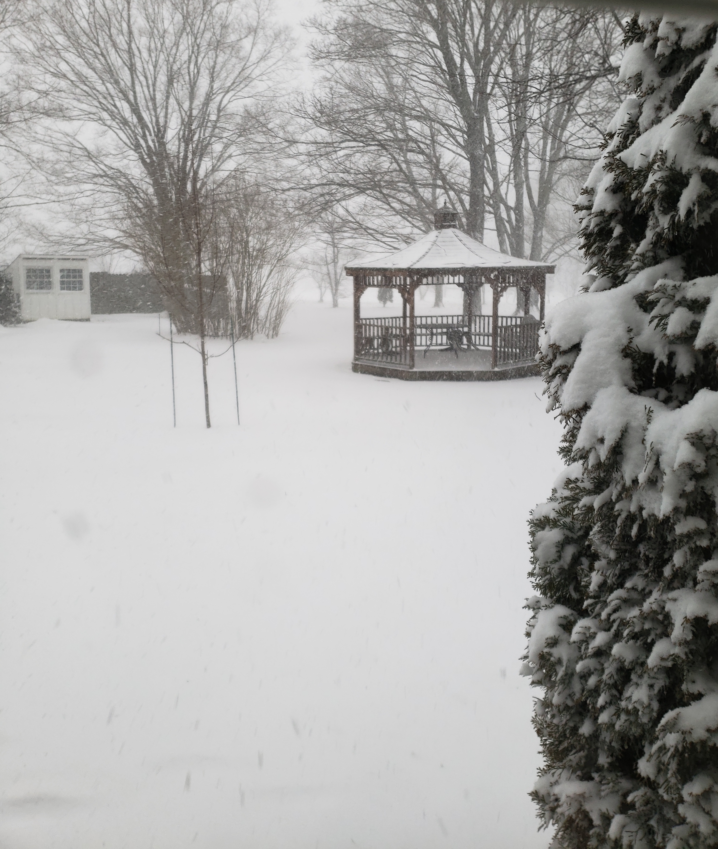https://idreamofjeannemarie.com/wp-content/uploads/2019/01/blog-gazebo-in-surprise-snow-jan-2019.jpg